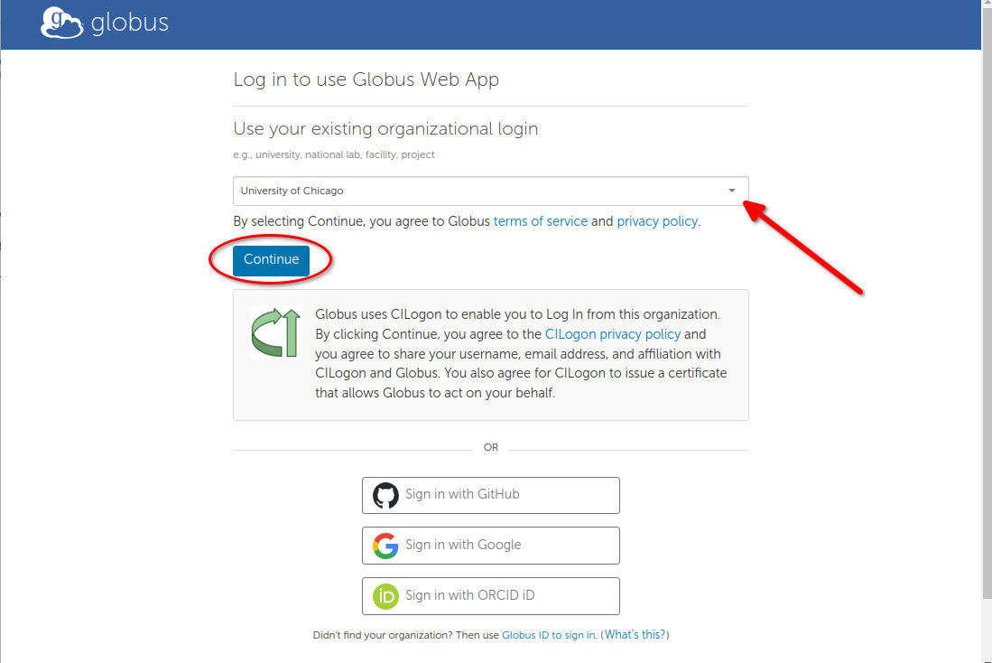 Typical Globus login